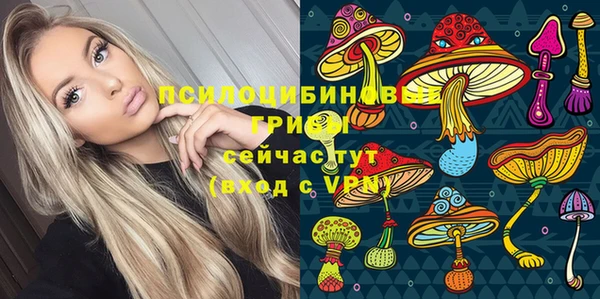 прущая мука Арсеньев