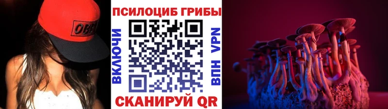 Галлюциногенные грибы Magic Shrooms  MEGA маркетплейс  Бабушкин 